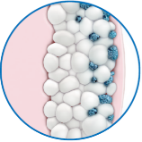 Fat layer with crystallized fat cells