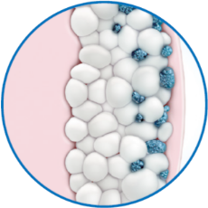 Fat layer with metabolized fat cells