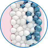 Fat layer with metabolized fat cells